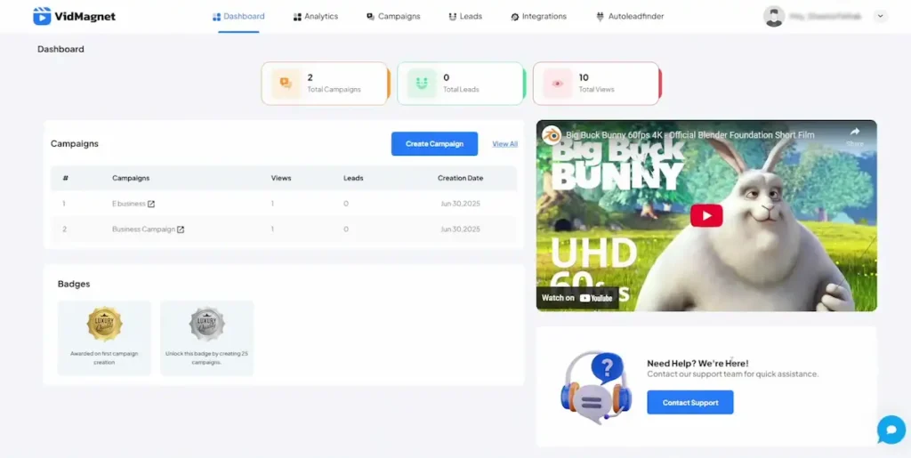 VidMagnet dashboard showing campaign stats, views, support widget, badges, and embedded YouTube video
